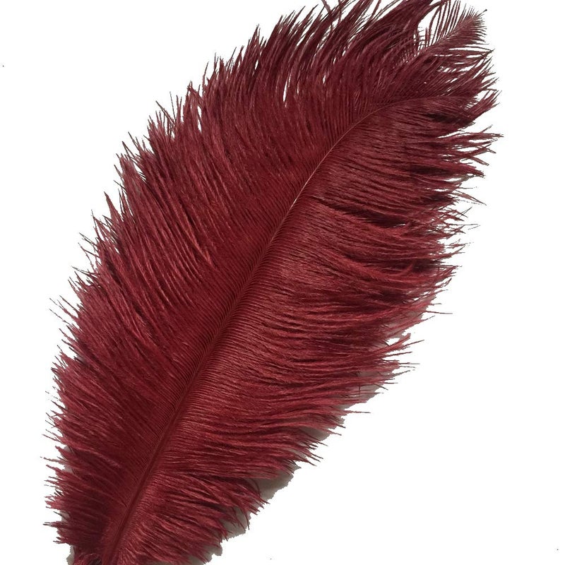 Sowder 10pcs Ostrich Feathers 12-14inch(30-35cm) for Home Wedding Decoration(Burgundy) - Image 1